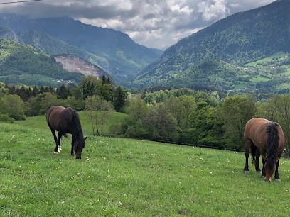 Intermarché Location Lugrin, Loueur de Voiture à Lugrin