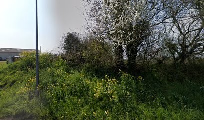 M.A.T Locations, Loueur de Voiture à Minihy-Tréguier