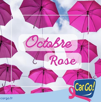 Adloc Cargo Location De Véhicules SALAISE SUR SANNE, Loueur de Voiture à Salaise-sur-Sanne