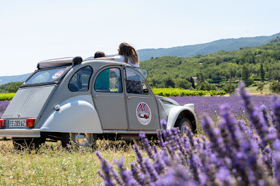 La Deuche France | Location 2Cv À Apt En Provence, Luberon, Location De Voiture à Apt