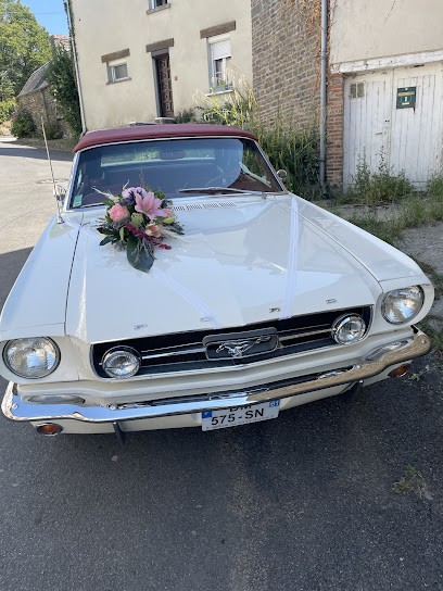 LocationRétroPrestige, Loueur de Voiture à Sées