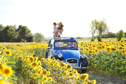 Oh My Deuche Hire 2cv In Luberon And Routes En Provence, Loueur de Voiture à La Bastide-des-Jourdans