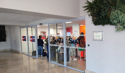 Avis, Loueur de Voiture à Saint-Raphaël